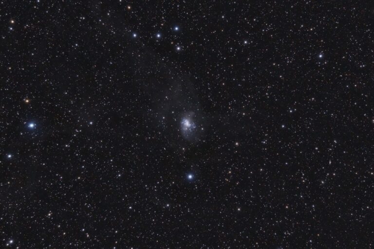 NGC 1313