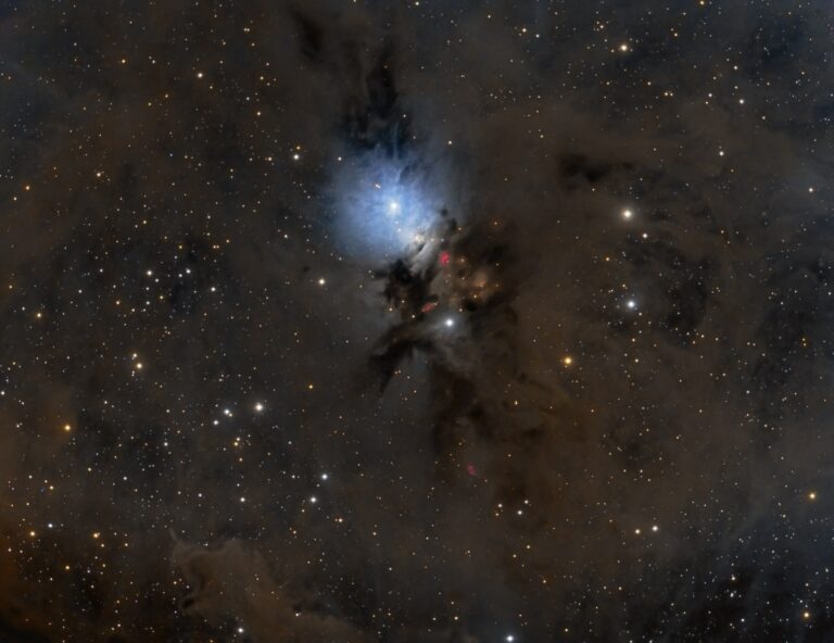 NGC 1333