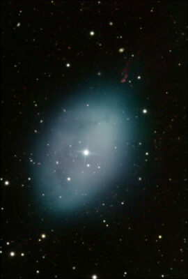 Read more about the article NGC 1360