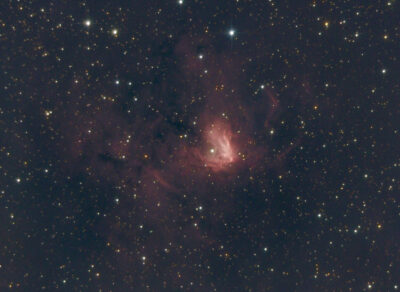 Mehr über den Artikel erfahren NGC 1491