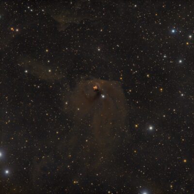 Mehr über den Artikel erfahren NGC 1555