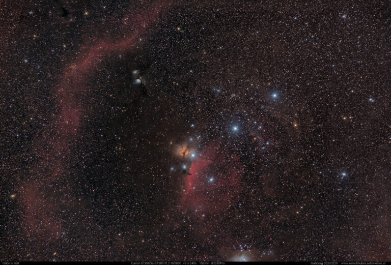 NGC 2024