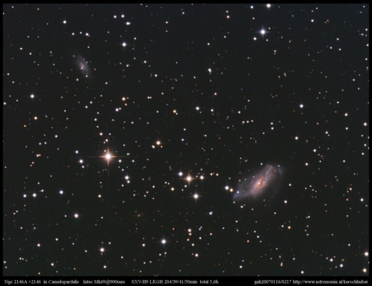 NGC 2146