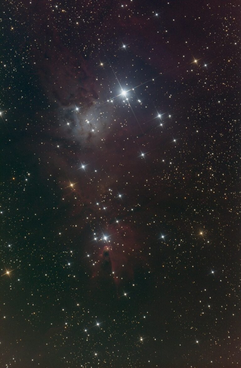 NGC 2264