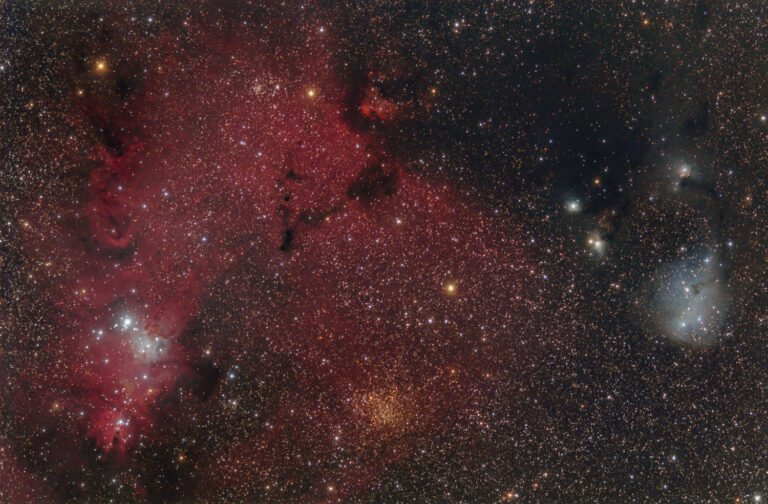 NGC 2264