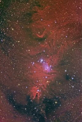 Read more about the article NGC 2264