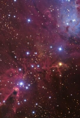 Mehr über den Artikel erfahren NGC 2264