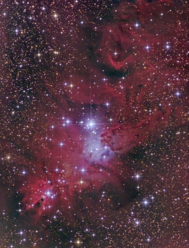 NGC 2264