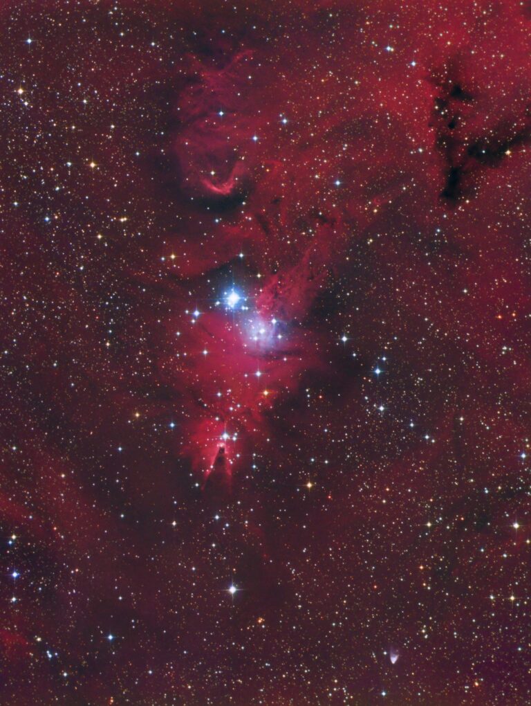 NGC 2264