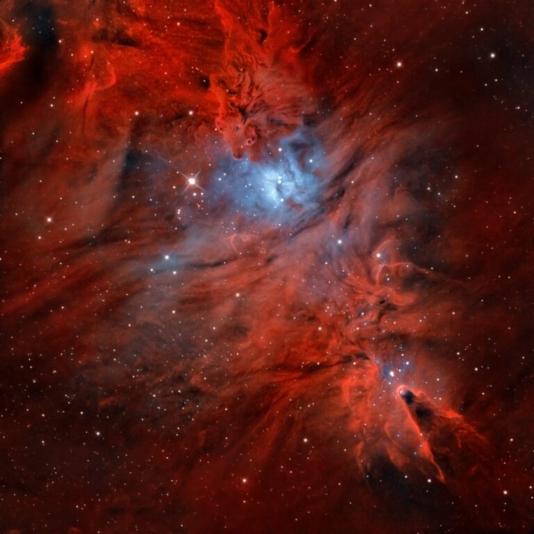 NGC 2264