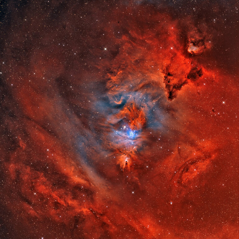 NGC 2264