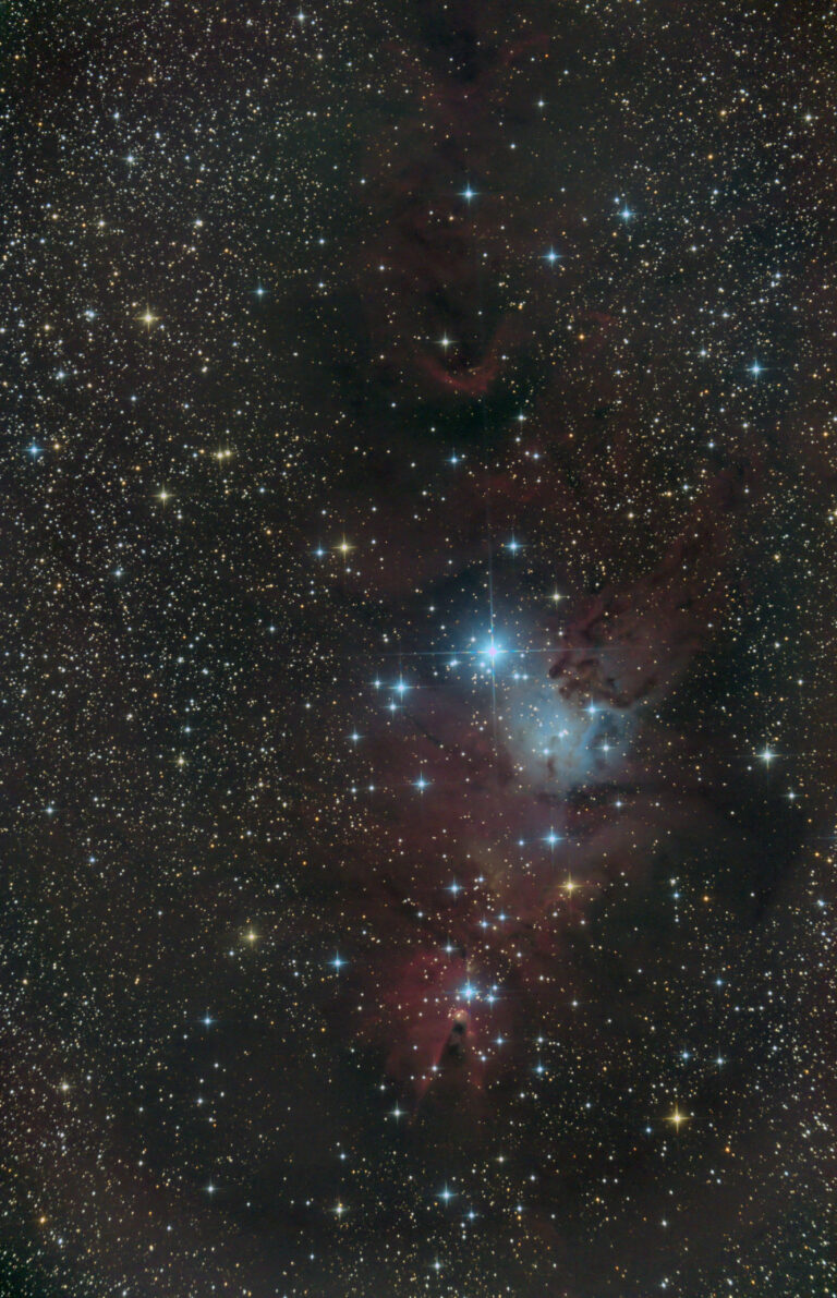 NGC 2264
