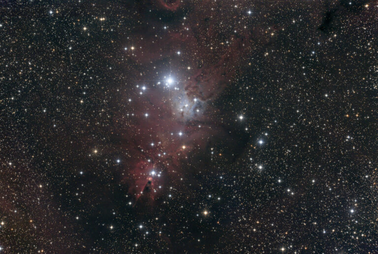 NGC 2264