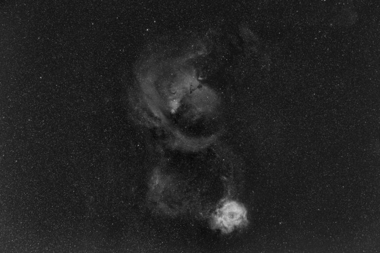 NGC 2264