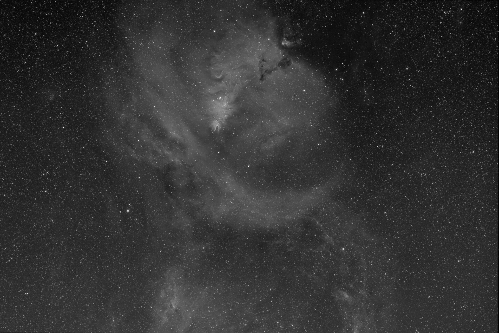 NGC 2264