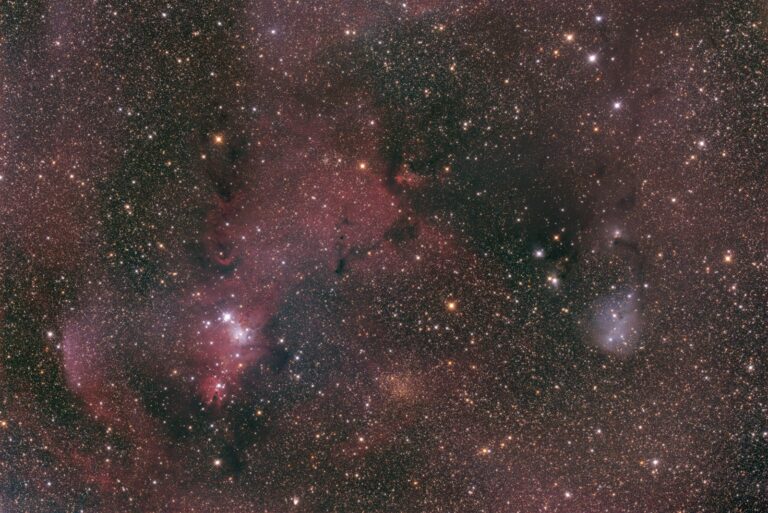 NGC 2264
