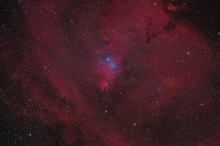 NGC 2264