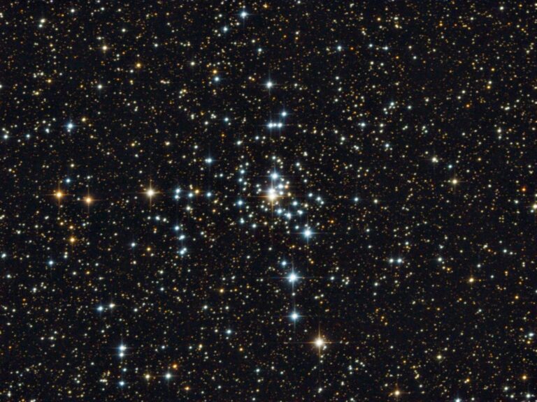NGC 2301