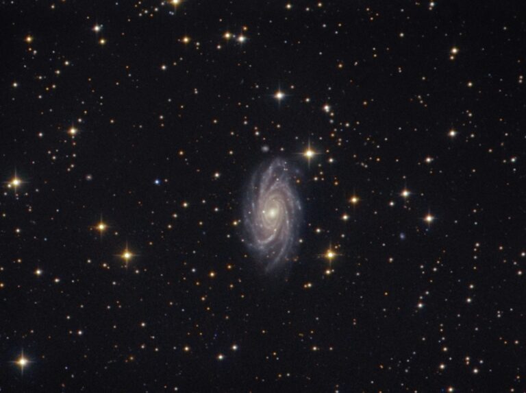NGC 2336