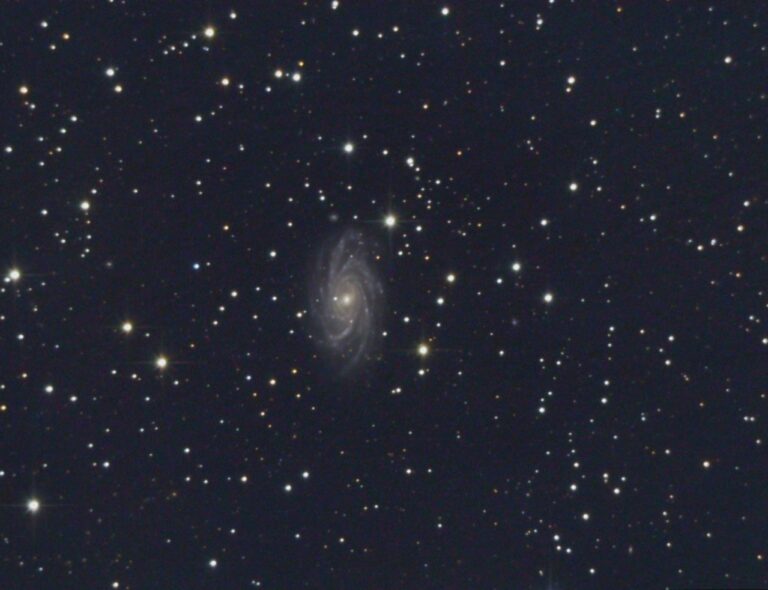 NGC 2336