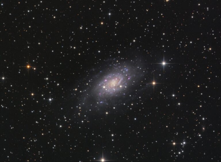 NGC 2403