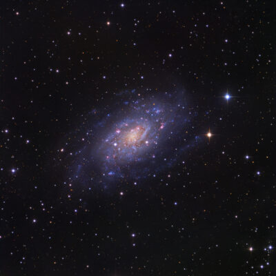 Mehr über den Artikel erfahren NGC 2403