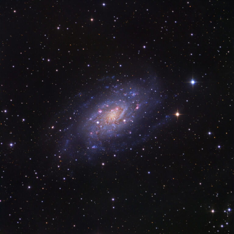 NGC 2403