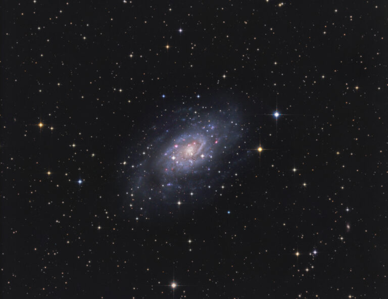 NGC 2403