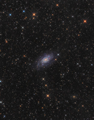Mehr über den Artikel erfahren NGC 2403