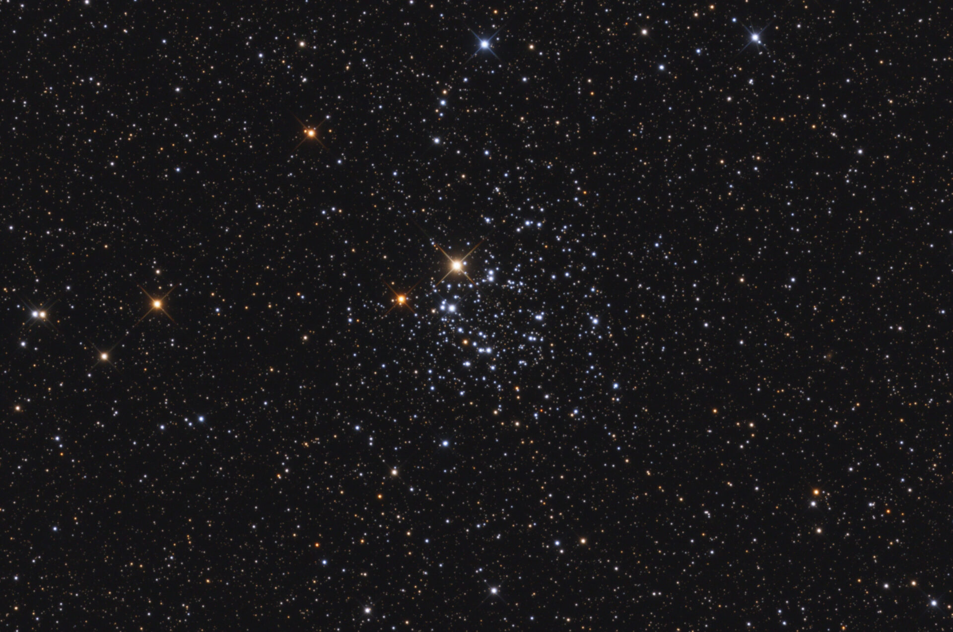 NGC 2439