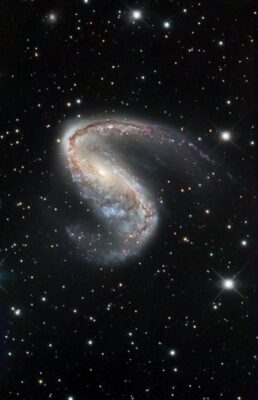 Read more about the article NGC 2442