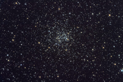 Read more about the article NGC 2506