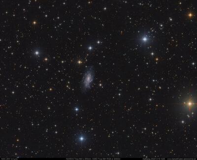 Mehr über den Artikel erfahren NGC 2541