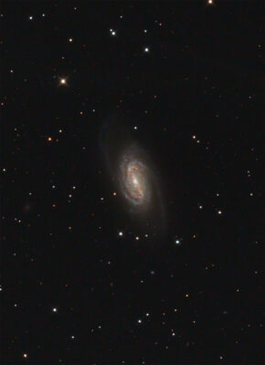 Mehr über den Artikel erfahren NGC 2903