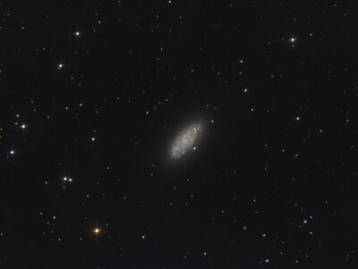Mehr über den Artikel erfahren NGC 2976