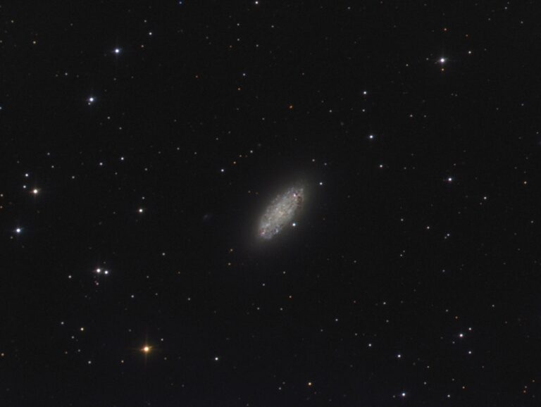 NGC 2976