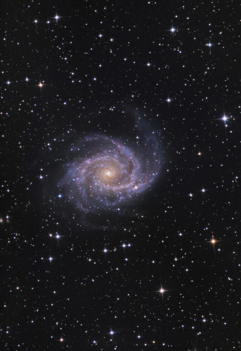 NGC 2997