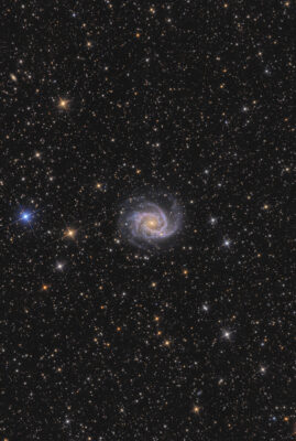 Read more about the article NGC 2997