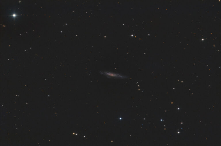 NGC 3003