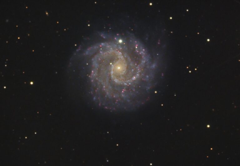 NGC 3184