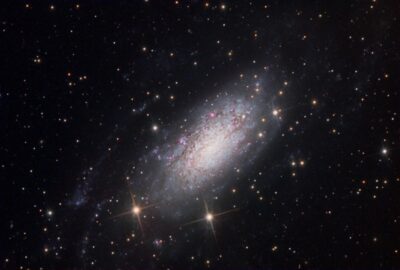 Read more about the article NGC 3621