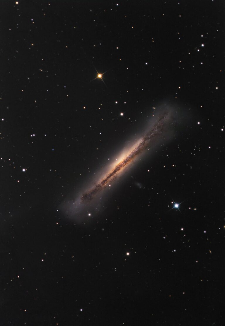 NGC 3628