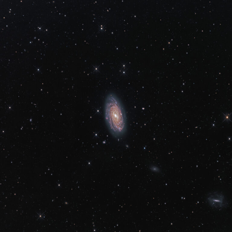 NGC 3953