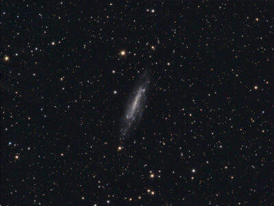 Read more about the article NGC 4236