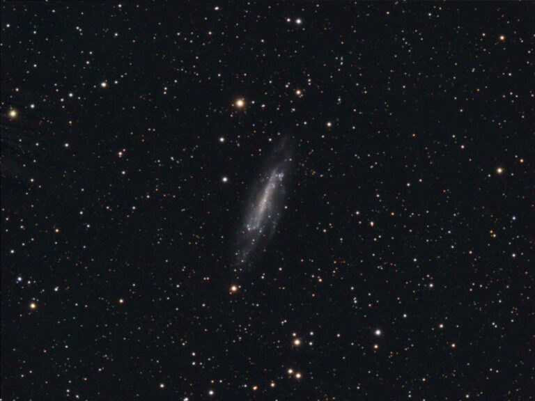 NGC 4236