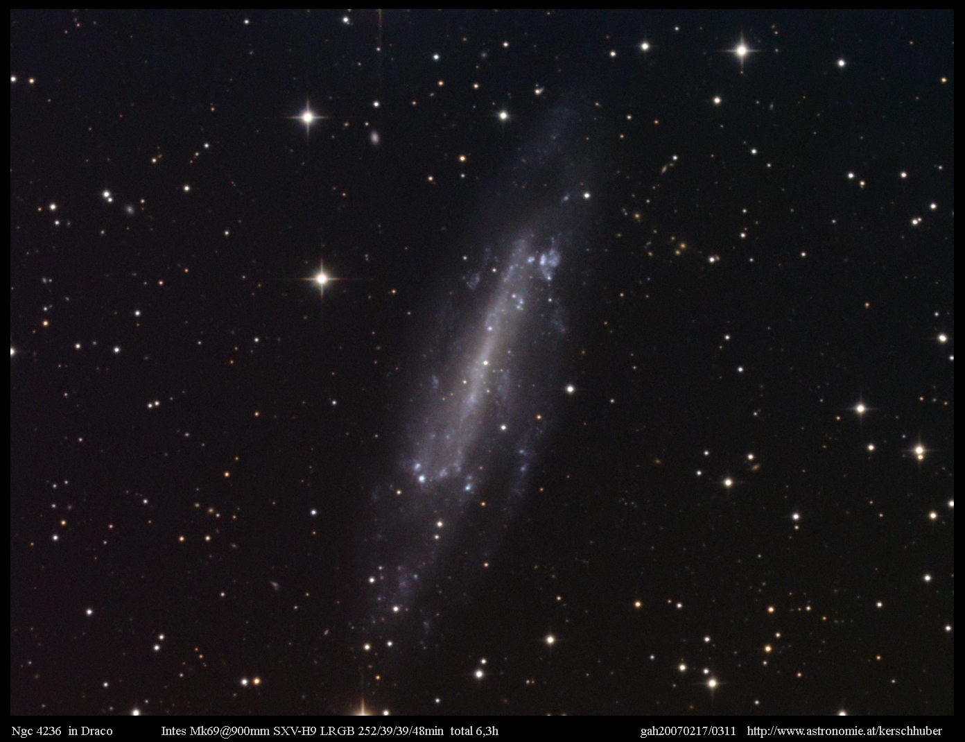 NGC 4236