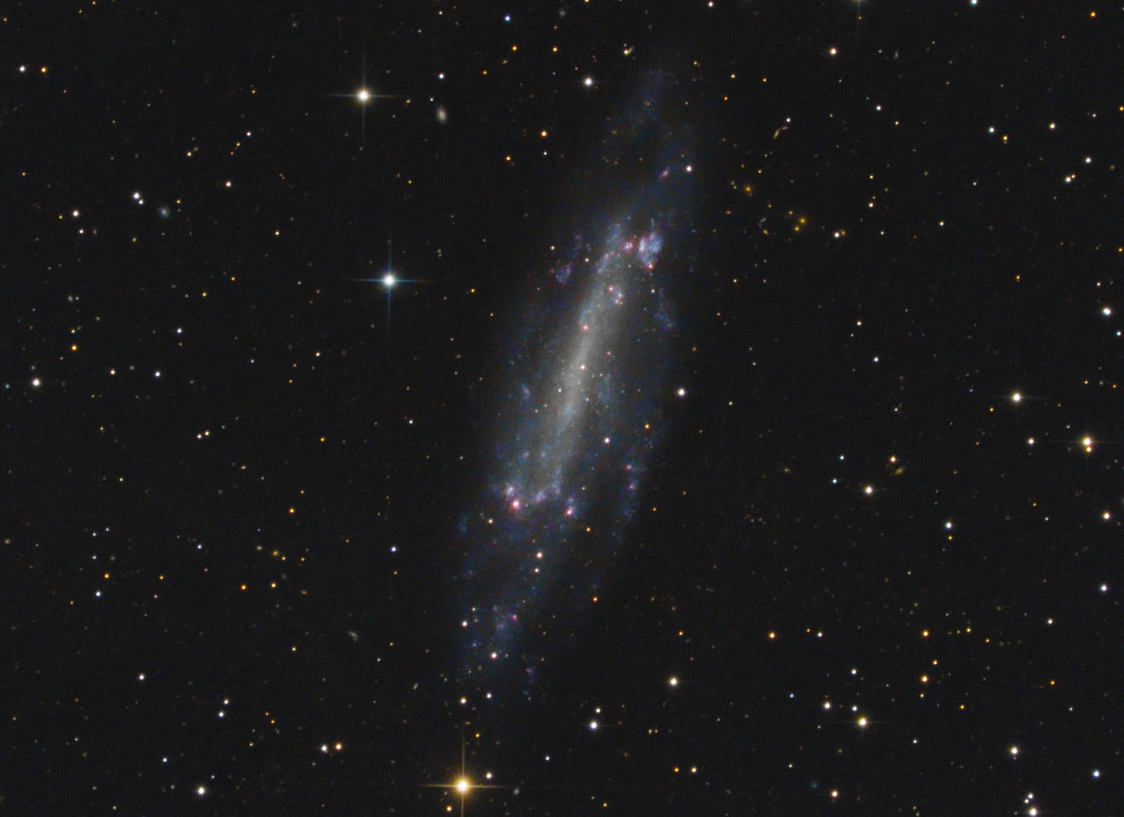 NGC 4236