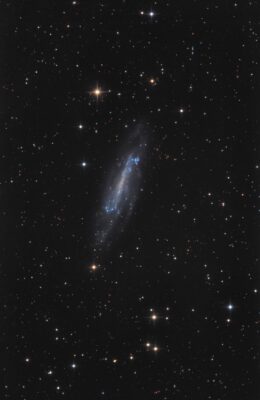 Mehr über den Artikel erfahren NGC 4236