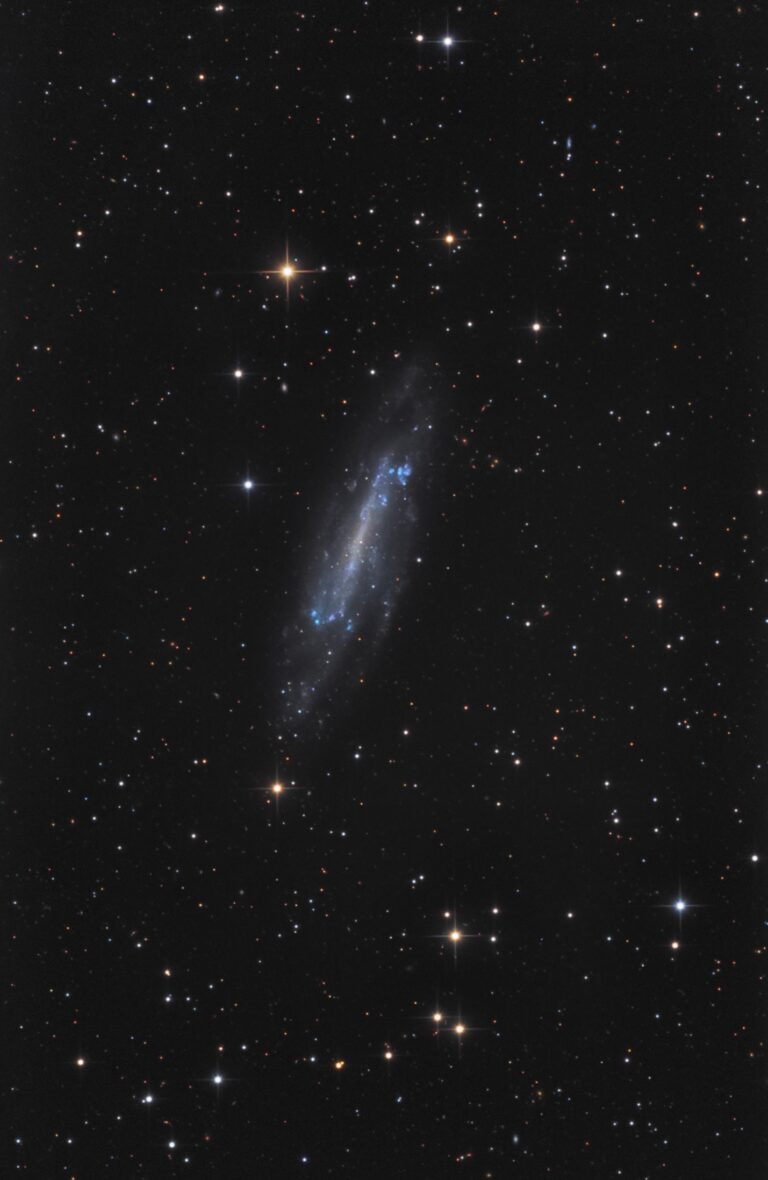 NGC 4236