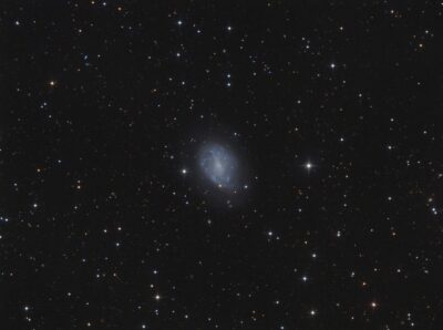 Mehr über den Artikel erfahren NGC 4242